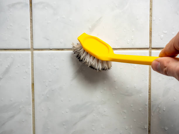 Professional Mold Removal in Wayne, OH